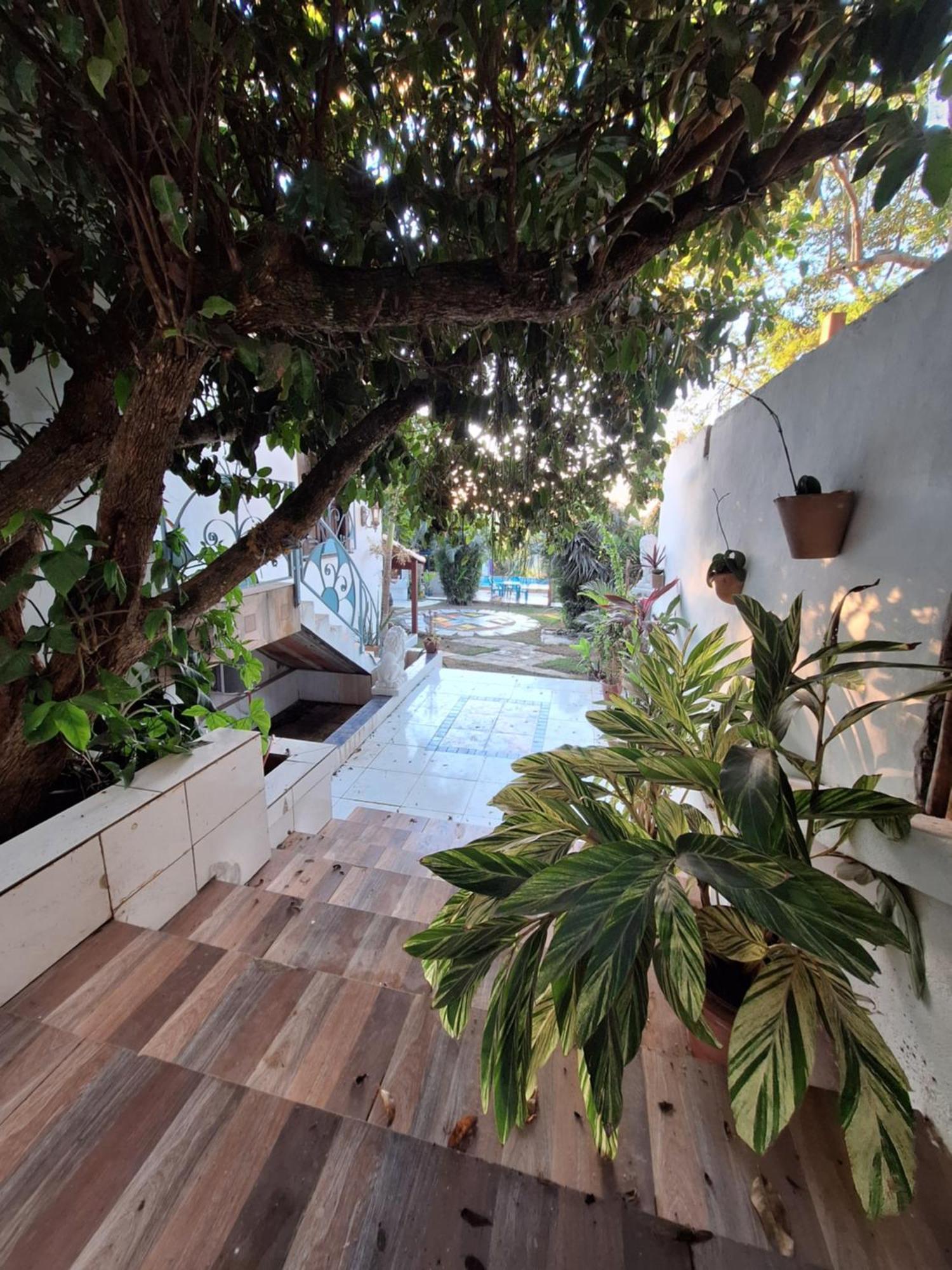 Casa Das Palmeiras Сasa de vacaciones